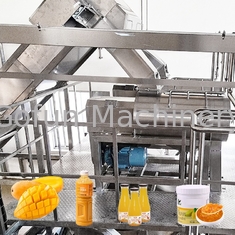 3T / H Mangoverwerkingslijn Jamverwerkingsmachine One Stop Service