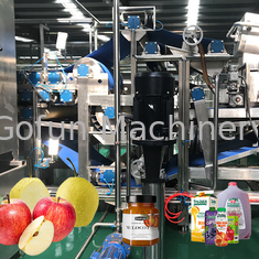 Voedselnorm SUS 304 Apple-Koud de Persfruit Juice Processing Line van de Verwerkingslijn