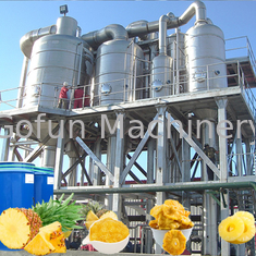 Aangepaste Automatische Lijn van de Ananasverwerking 304 Roestvrij staal 220 - 380V