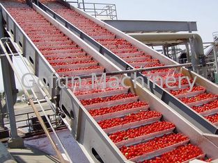 PLC van de de Verwerkingsmachine van het Controlevoedsel van de de Tomatenverwerking de Lijnwater het Cirkelen