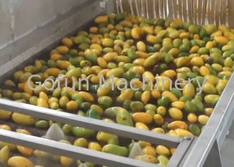 Automatische Industriële Industriële Fruitdroger/Fruit Drogende Machine