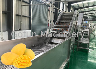 SUS 316L Mango Jam Juice Verwerkingsmachine 10 - 100T/D Turnkey Service