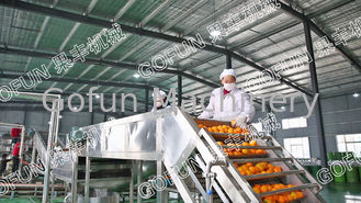 Professionele tangerine citrusverwerkingsapparatuur 5T/H ISO-certificaat