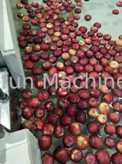 Ce Industrieel Automatisch Apple Juice Processing Machine 7.5kw SUS304