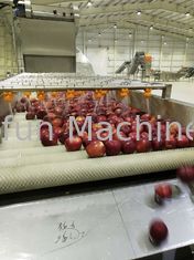 380V 50Hz Productielijn voor appelsap 2t/u Waterbesparing