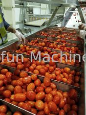 SUS304 de Lijn van de tomatenverwerking voor Geconcentreerde Saus 1500T/D