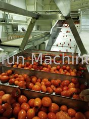 Voedingsmiddelen SUS304 Tomaten Productie Lijn Op maat 100T/D