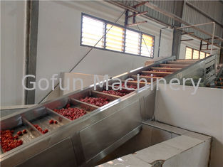 Industriële van de de Tomatenpuree van 250T/D 440V de Verwerkingsinstallatie