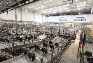 Dubbel Concentraat Berry Fruit Tomato Processing Line