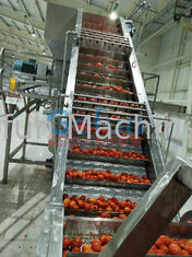 25T/H de Rang van het de Productielijnvoedsel van de tomatenketchup het Aseptische Vullen