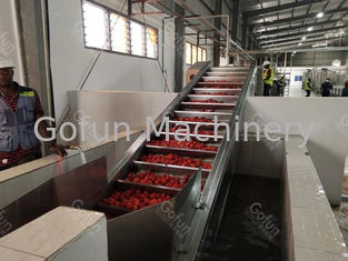 Voedingsmiddelen SUS304 Tomaten Productie Lijn Op maat 100T/D
