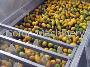 SUS304/316L-de het Eindedienst van Mangojuice processing machine 3T/H Één