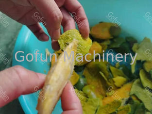 20 T/H van de de Verwerkingslijn van de Roestvrij staalmango de Automatische Mango Juice Making Machine