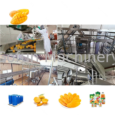 SUS304 / SS316 Mango pulp productie lijn 5 t/h Flexible operationele ondersteuning