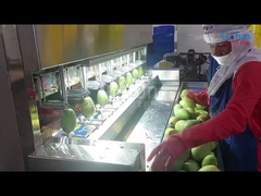 Intelligente aardappel schillen machine voor groenten en fruit verwerkingslijnen met 8 sets messen