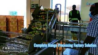 Complete kant-en-klare fabrieksoplossing voor de mangoverwerkingslijn
