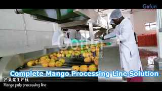 Complete Mango Puree Processing Line Turnkey Solution