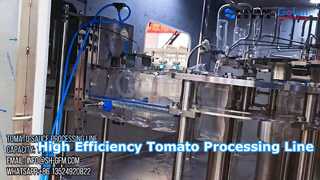 Industriële tomatenpureeverwerkingslijn Kant-en-klare oplossing
