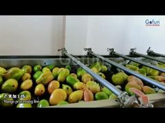 Premium mangosapproductielijn