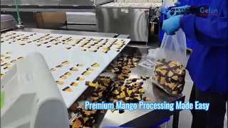 Premium mangoverwerkingslijn Zachte, taaie gedroogde mango-oplossing