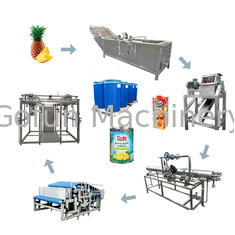 UHT die Juice Pineapple Processing Line 1500T/Day steriliseren