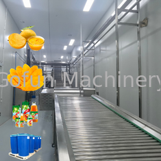 SUS304 industriële Mango Juice Processing Machine 20T/H ISO9001