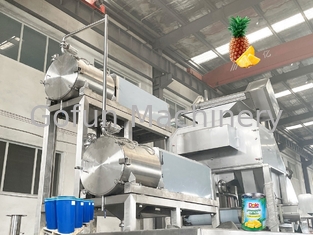 SS304 automatische Geconcentreerde Ananas Juice Production Line 15T/Day