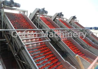 Industrieel van de de Tomatenpureeverwerking van de Plantaardige Verwerkingslijn de Lijnwater die Gemakkelijke Verrichting bewaren