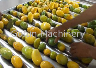 Het Fruitspaanders die van de voedselrang tot Machine 1500 T maken Lage de Machtsconsumptie van /dag