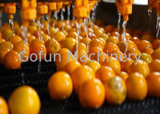 Industriële citrusverwerkingslijn Oranje citroenverwerkingseenheid 1 jaar garantie