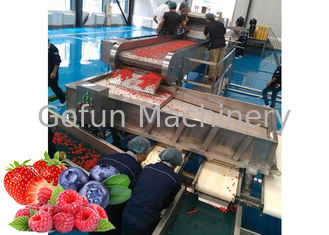 Gedroogd fruit SUS 304 Berry Processing Equipment 10-100T/D