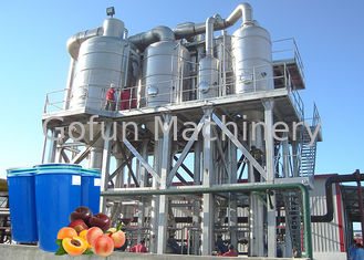 Roestvrij staal 304 Fruitverwerkingsinstallatie Hoog het Halen Tarief ISO9001