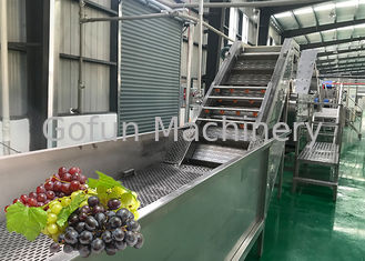 Van de het Vruchtensapverwerking van de waterbesparing Milieuvriendelijke Wasmachine van de het Materiaal de Verse Druif