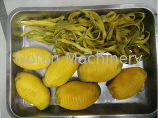 Geconcentreerd Juice Extracting Mango Processing Line 25T/H