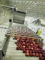Hoog rendement Apple Juice Processing Line Machine SUS316 30T/H 7.5kw