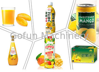 Geconcentreerd Juice Extracting Mango Processing Line 25T/H