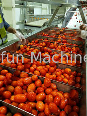 800g/Tin Concentrated Tomato Processing Line kan verpakken