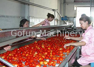 Sus304 de Lijntomatenpuree die van de Tomatenverwerking Machine 3/5 Ton per Uur maken