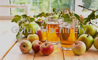 SS316 concentraat Apple Juice Processing Plant 25t/H voor Drank