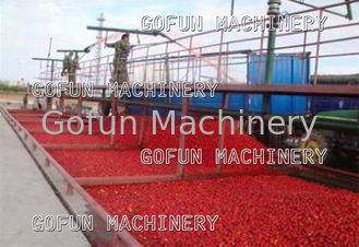 5T/H volledig Automatische de Verwerkingsinstallatie 304 van de Tomatenpuree Roestvrij staal