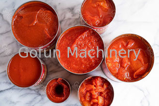 Tomatensaus/Ketchup de Verwerkingslijn paste 0 aan - 10T/D