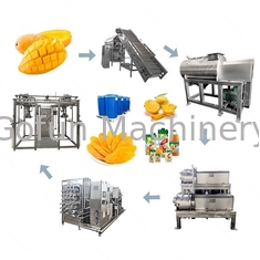 Industriële Roestvrij staalmango Juice Processing Line 1 - 10t/H
