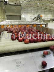 Roestvrij staal 316 Apple Juice Processing Line 50Hz met Water recycleert Systeem