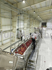 Roestvrij staal 316 Apple Juice Processing Line 220V/380V