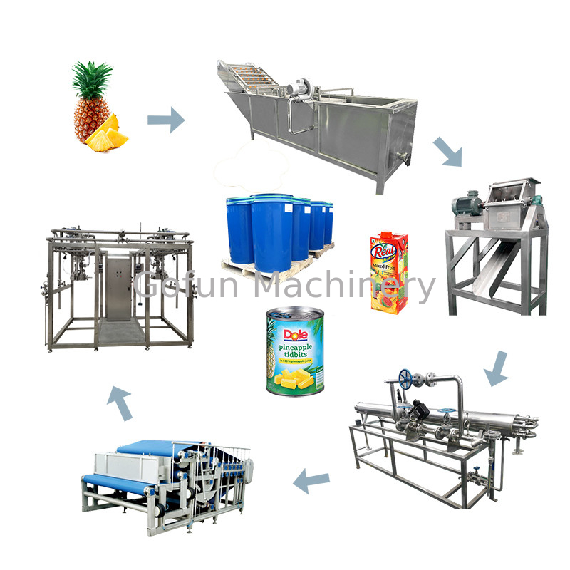 Aseptische Zak60t/d Geconcentreerde Ananas Juice Extractor