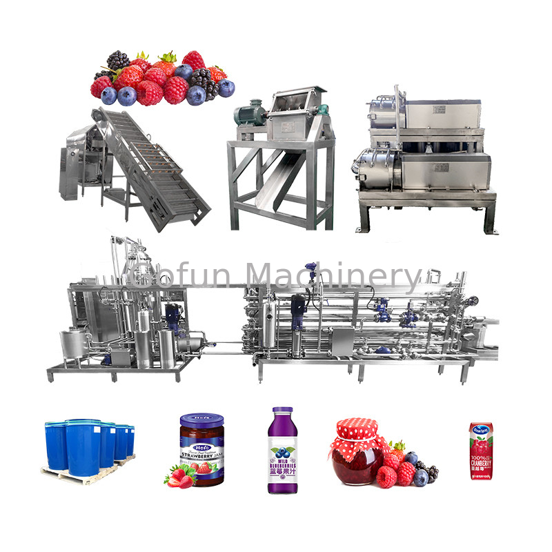 Gedroogd fruit SUS 304 Berry Processing Equipment 10-100T/D