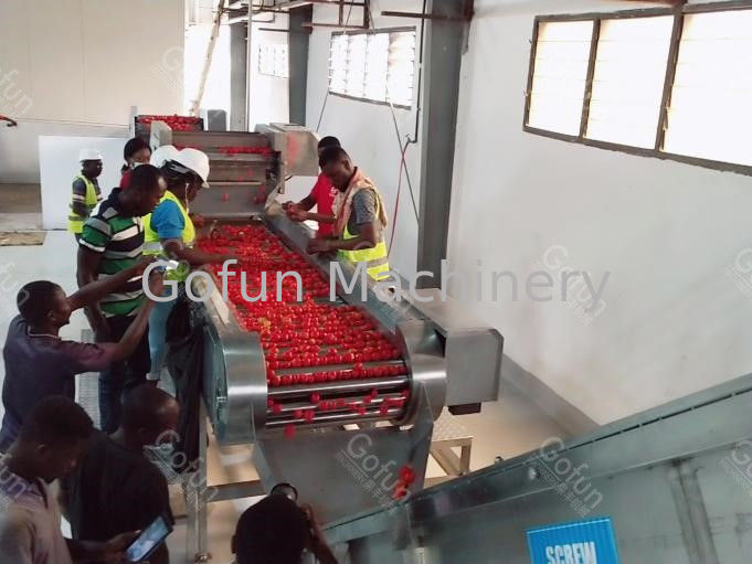 Allen in Één Lijn van de de Tomatenpureeverwerking van Tomatenjuice production machine SUS304